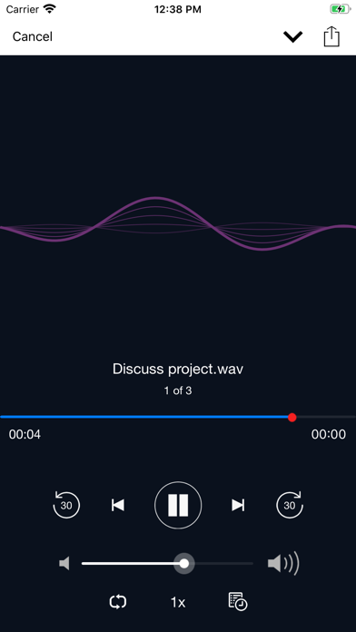 Voice Recorder screenshot 3